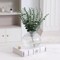 Round Glass Vase, Flower Vase for Bouquet, Ribbed Glass Vase, Fluted Vase, Clear Glass Vase for Tulips, Modern Glass Vase for Living Room, Office, Coffee Table, Shelf, Wedding, 6 Inches
